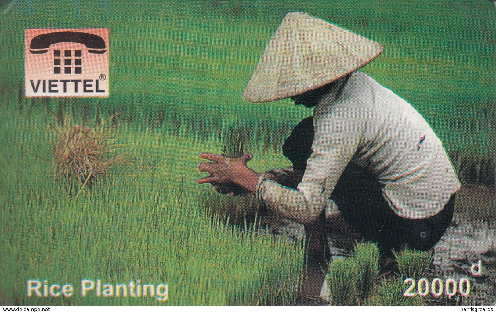 VIETNAM - Rice Planting, Fake - Viêt-Nam