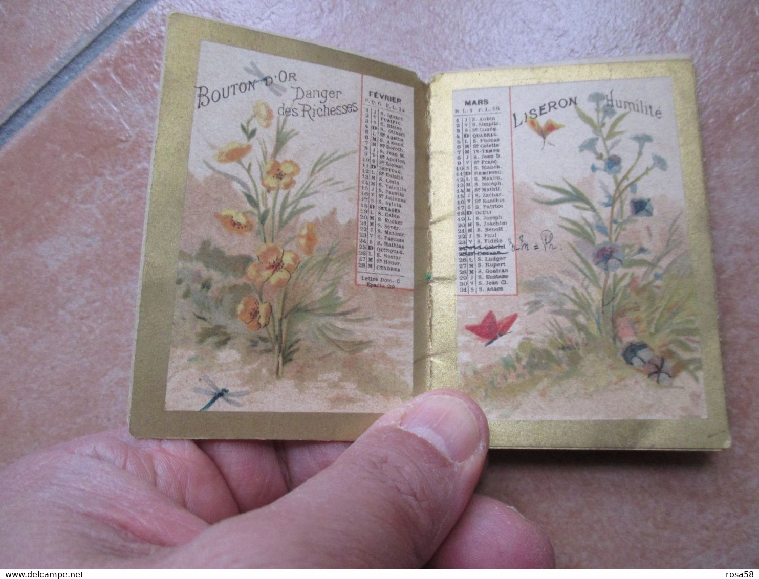 1900 Mini Calendarietto MOTIVI FLOREALI Cornice Dorata Dictionaire Plants Piante Ofiicinali PIANTE FIORI - Kleinformat : ...-1900