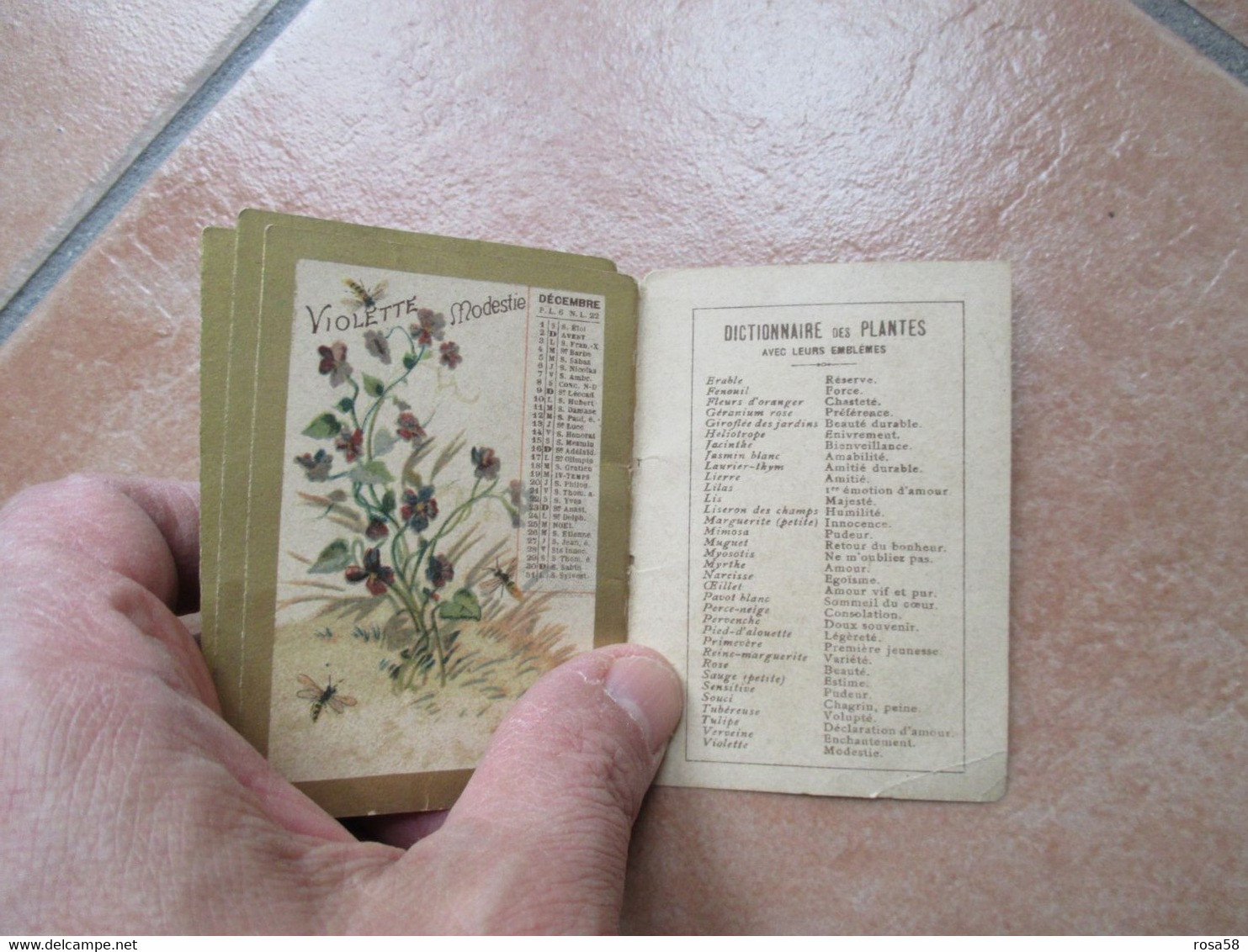 1900 Mini calendarietto MOTIVI FLOREALI cornice dorata Dictionaire Plants Piante ofiicinali PIANTE FIORI