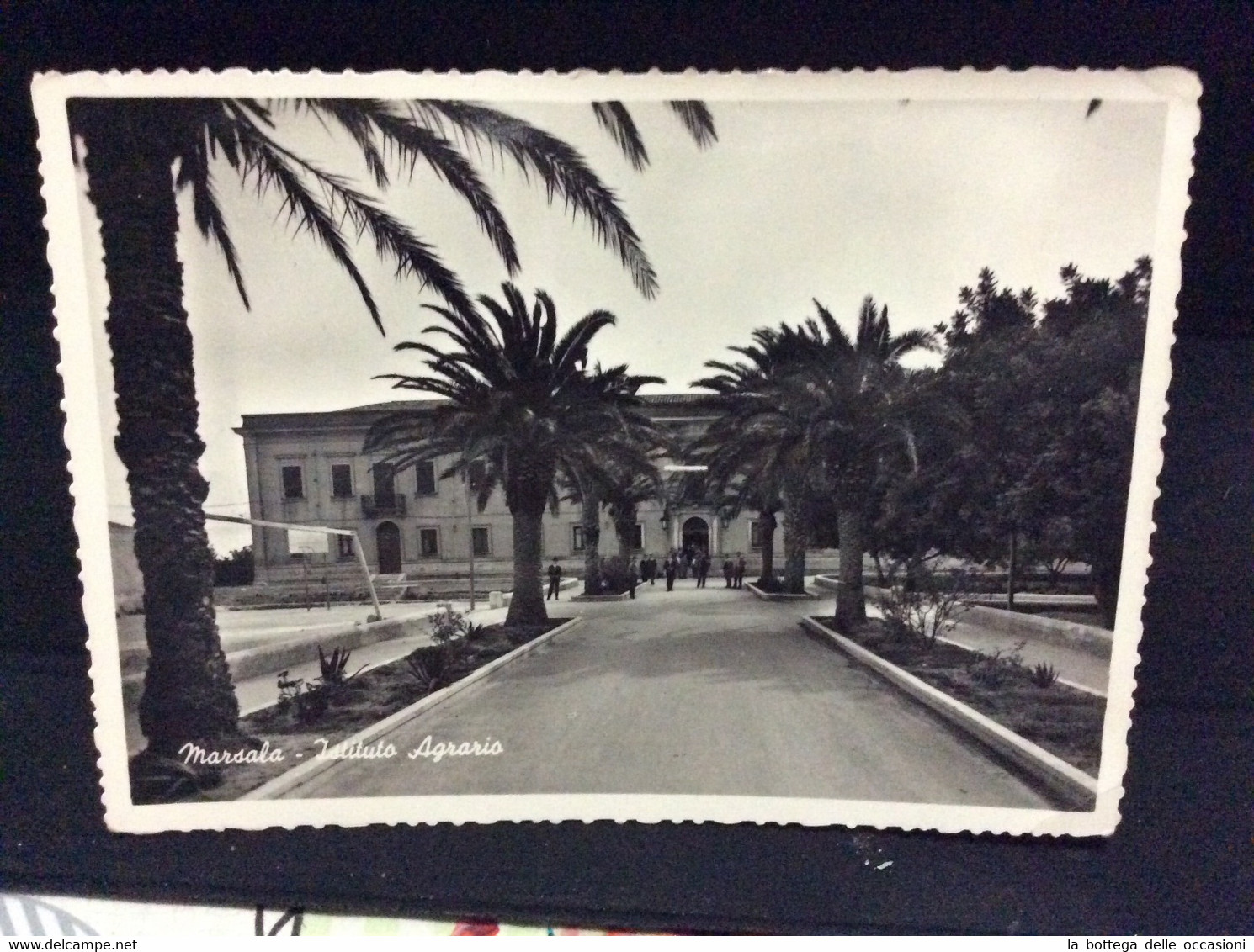 Marsala Trapani  SICILIA    Primi  Anni 50 - Marsala