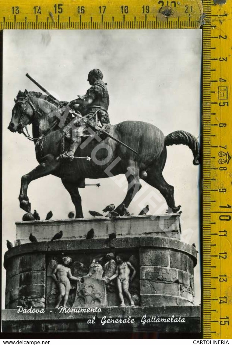 Padova Città Monumento Al Generale Gattamelata - Padova