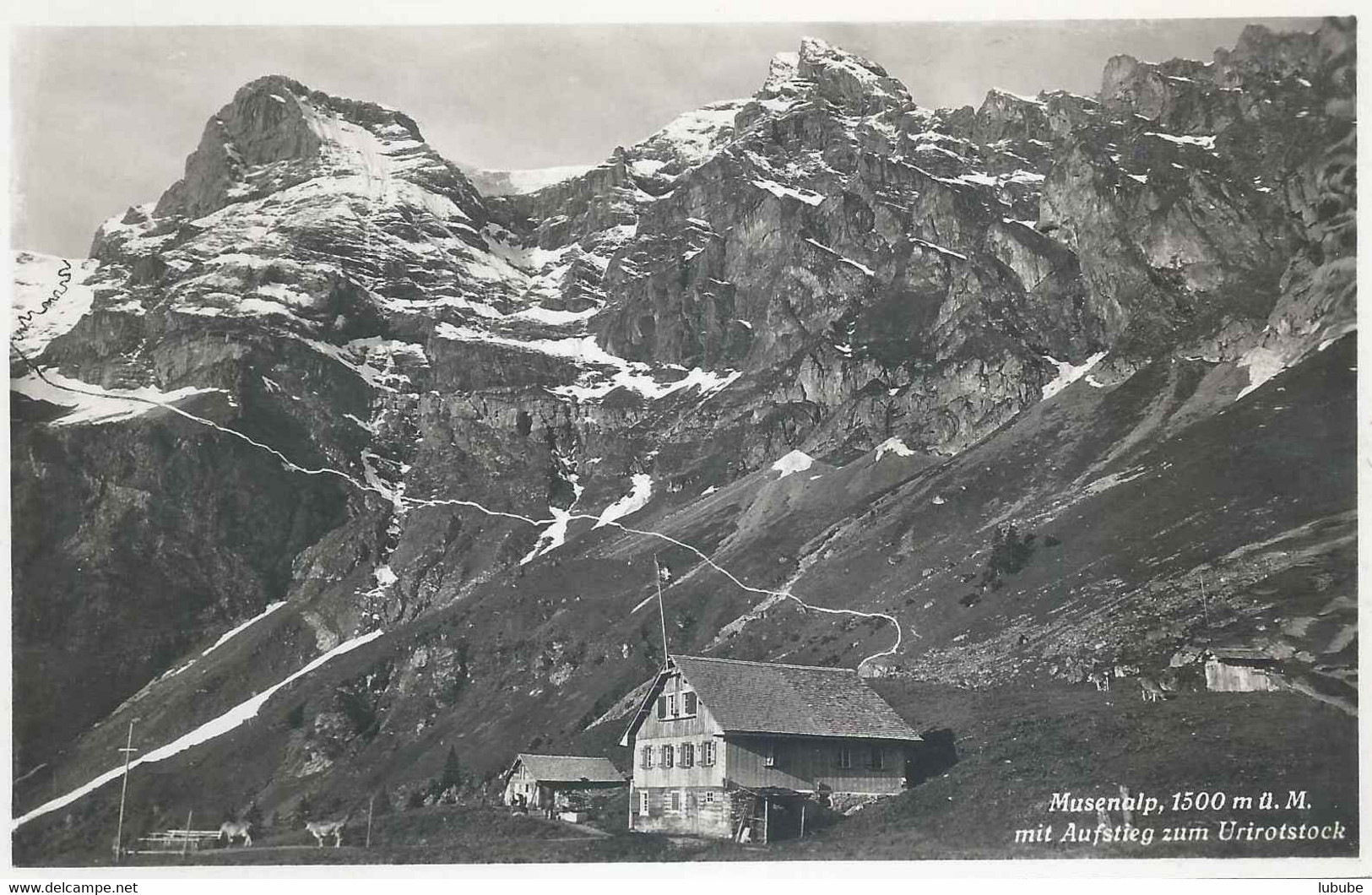 Isenthal - Musenalp Mit Aufstieg Zum Urirotstock          Ca. 1930 - Isenthal