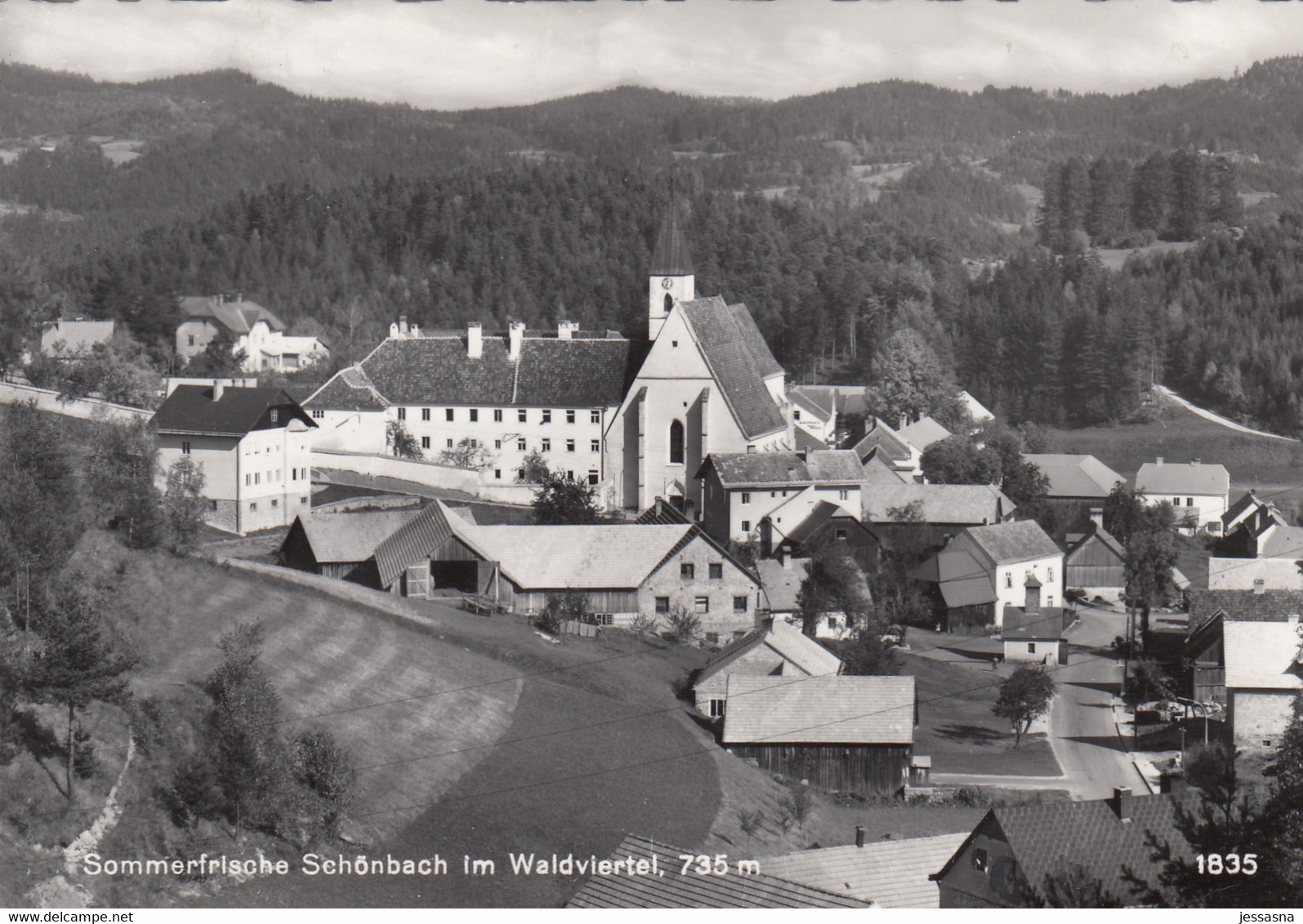 AK - NÖ - Waldviertel - Schönbach - Ortsansicht - Zwettl