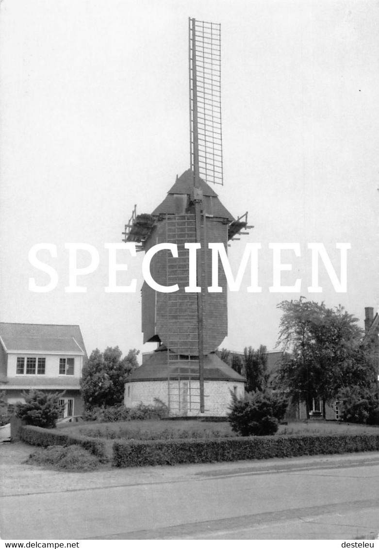 Molen @ Aartselaar - Aartselaar