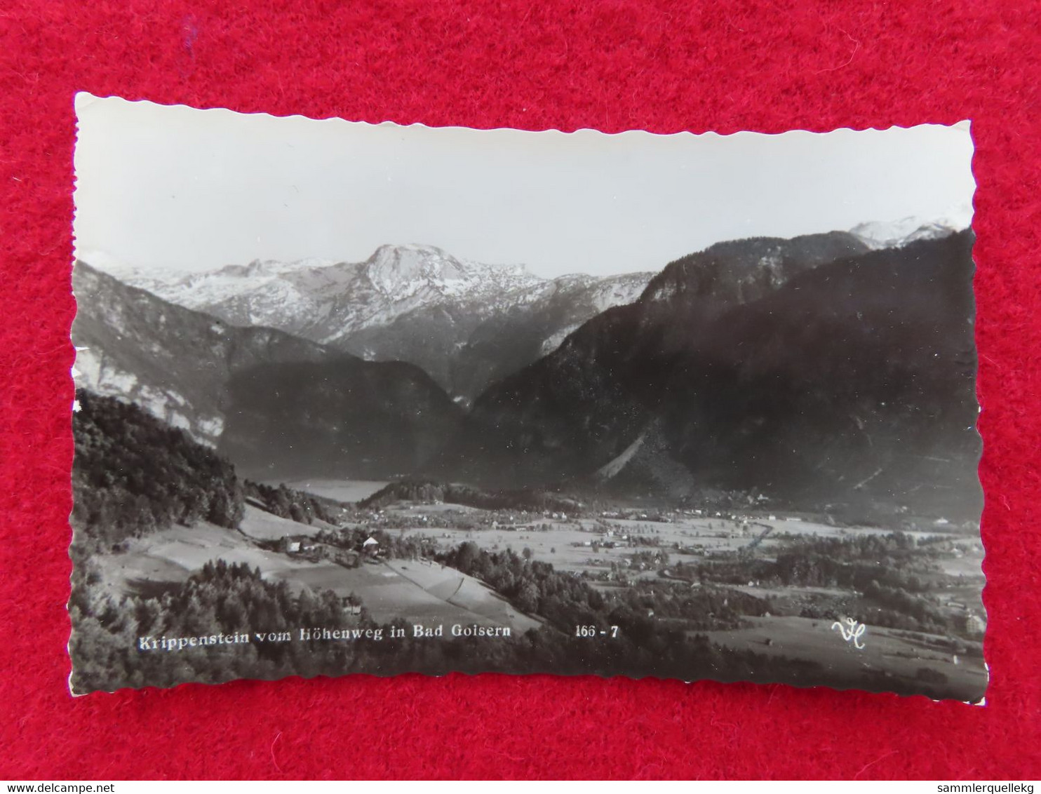 AK: Echtfoto - Krippenstein  Von Höhenweg In Bad Goisern, Gelaufen 21. VII. 1960 (Nr. 825) - Bad Goisern