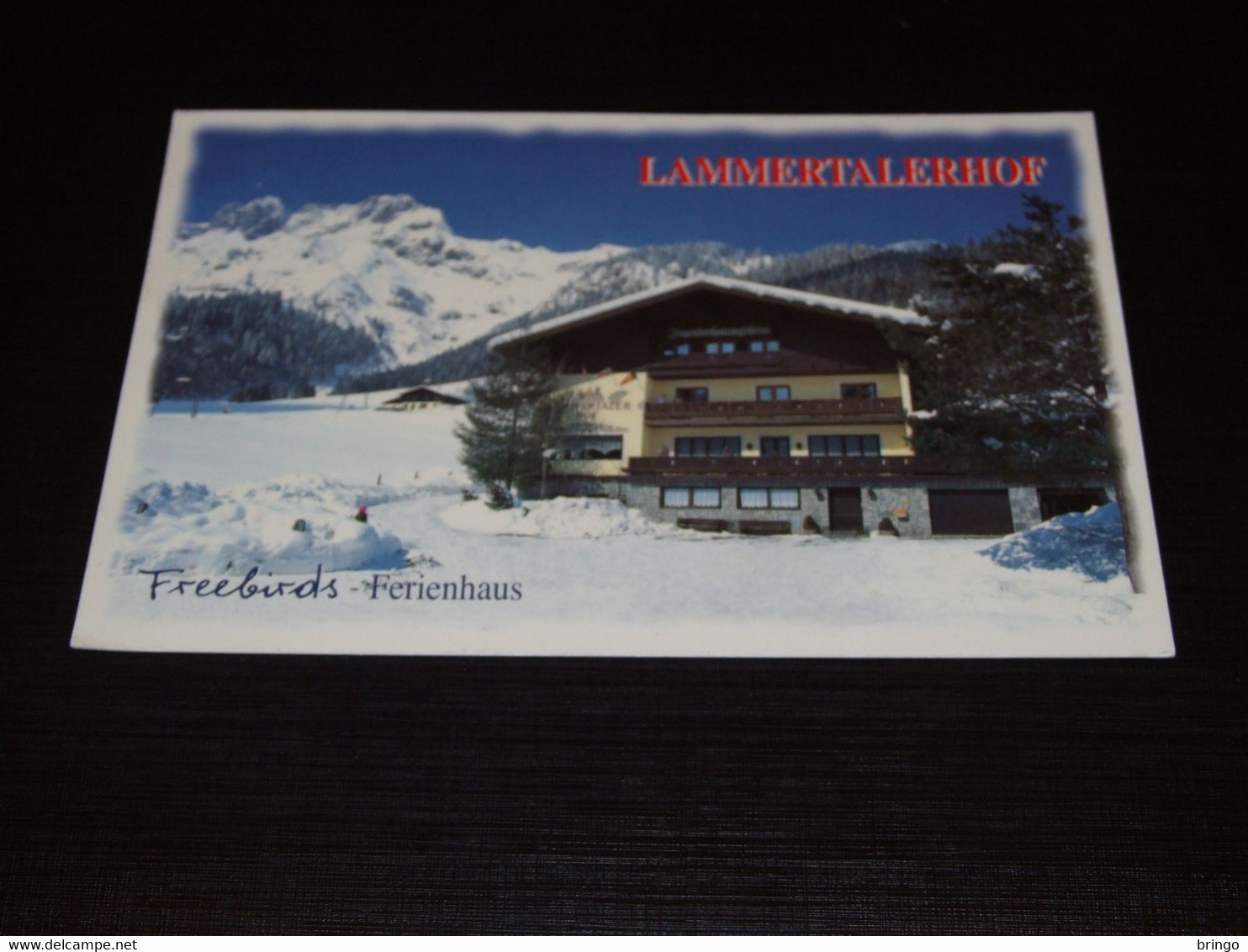 43470-                  FREEBIRDS, FERIENHAUS, LAMMERTALERHOF, LUNGÖTZ IM LAMMERTAL - Hotels & Restaurants