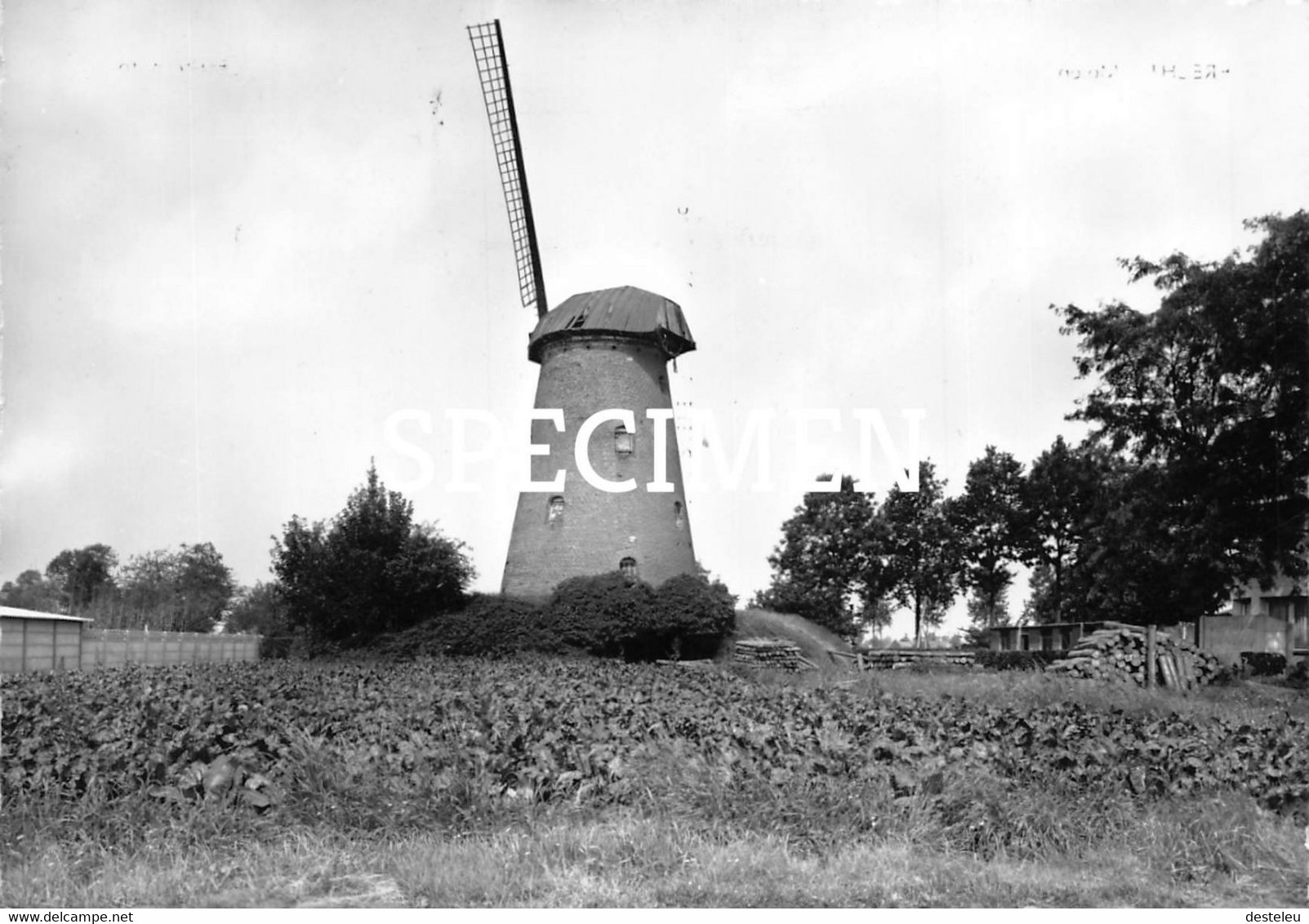 Molen @ Brecht - Brecht