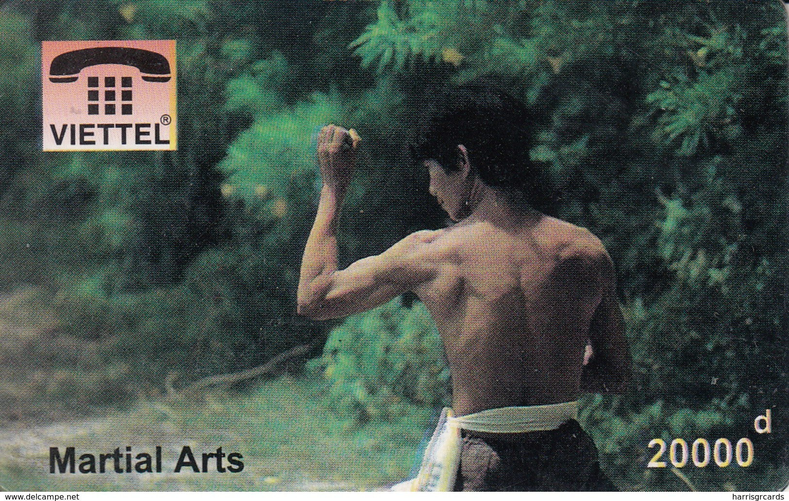 VIETNAM - Martial Arts, Fake - Viêt-Nam