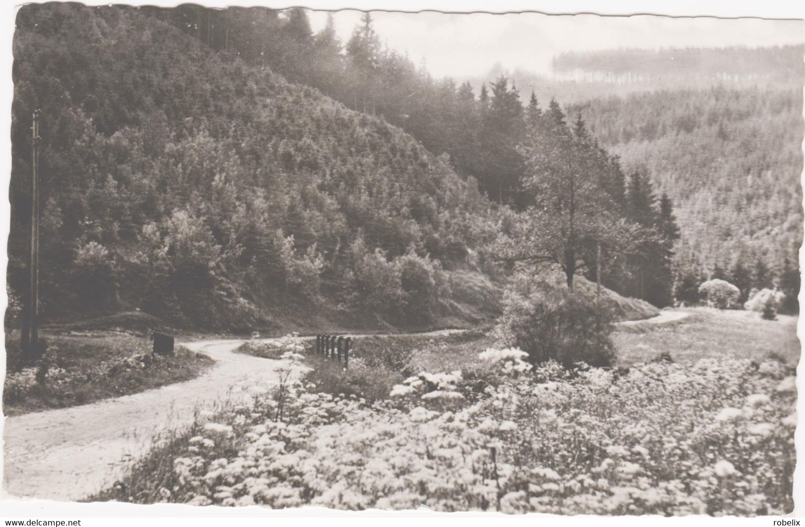 DEUTSCHLAND - GERMANY  STADTRODA  Im Zeitzgrund  1959 - Stadtroda