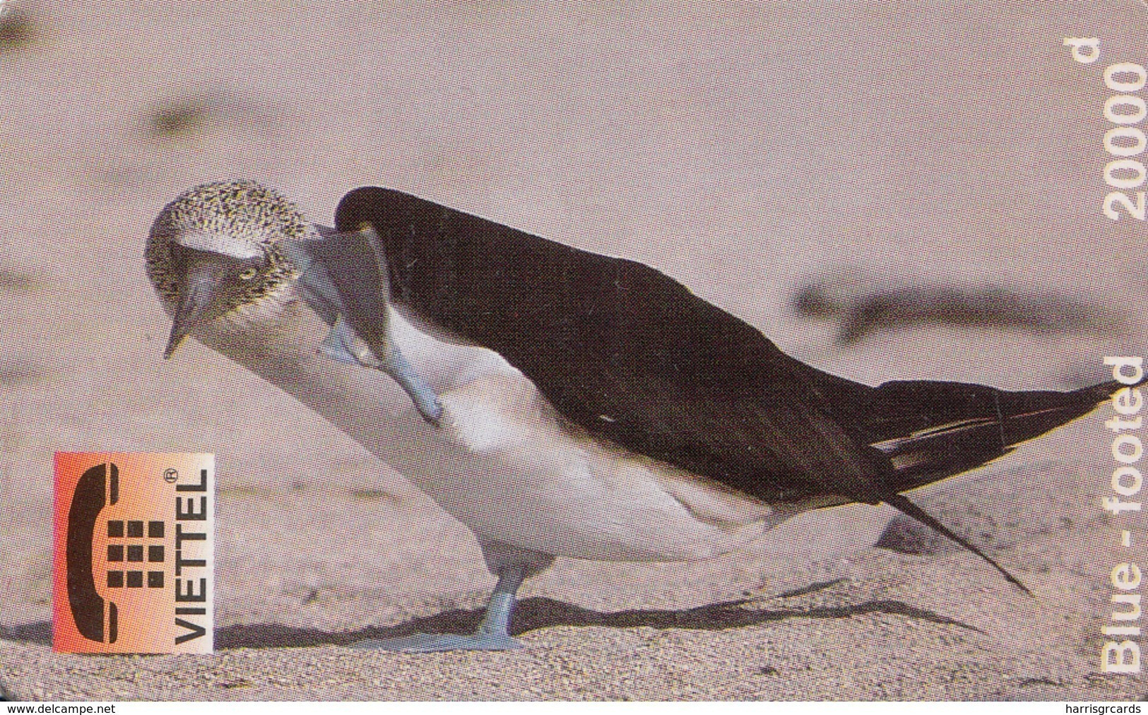 VIETNAM - Blue-Footed - Bird, Fake - Viêt-Nam