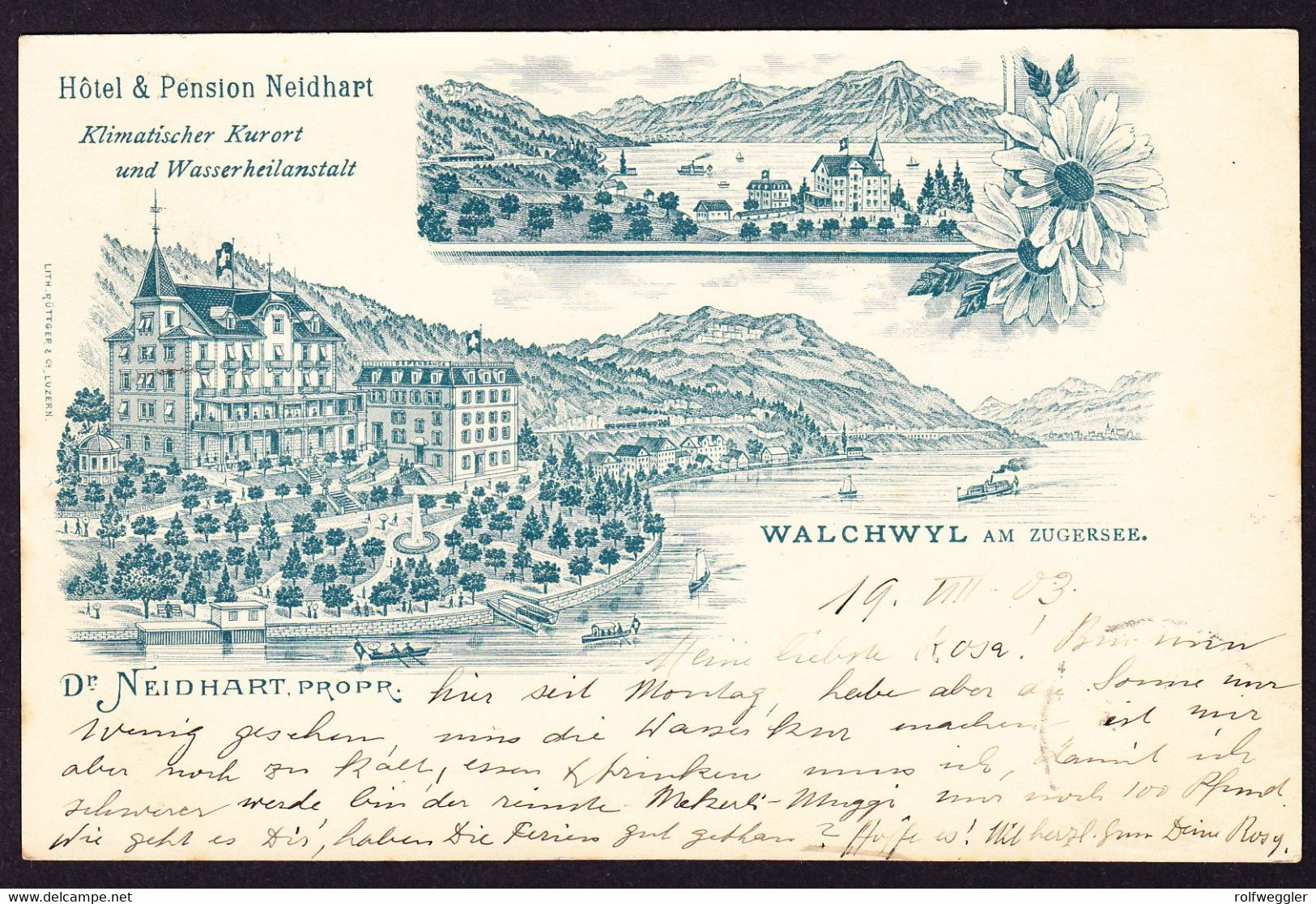 1903 Hotel Reklame AK: Hotel Und Pension Neidhart, Walchwil. Klimatischer Kurort Und Wasserheil Anstalt. - Walchwil