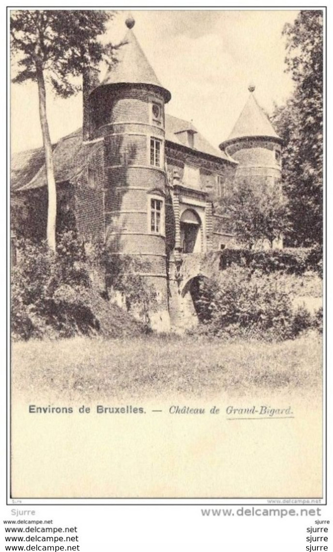 GROOT-BIJGAARDEN / Dilbeek - Kasteel - Château Grand-Bigard - Dilbeek