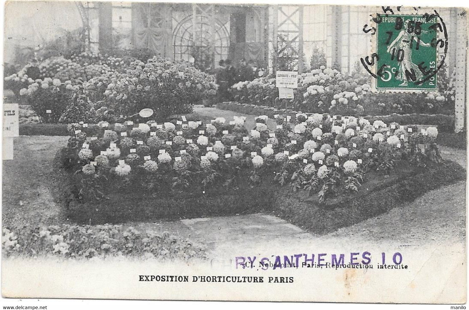 EXPOSITION D'HORTICULTURE  PARIS 1910 - CHRYSANTHEMES - Producteur LEVEQUE Fils à IVRY S/SEINE - Expositions