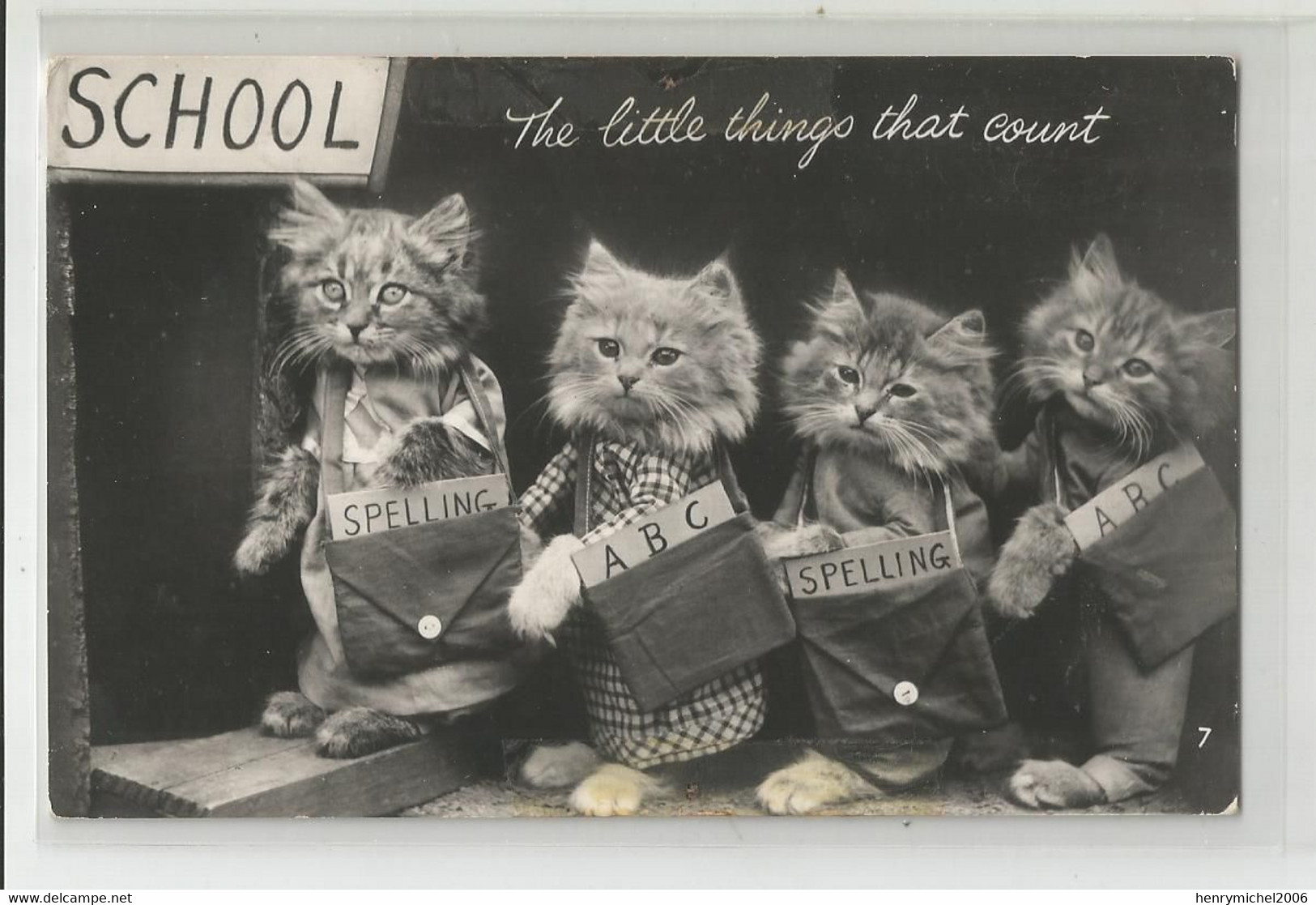 Humour Anglais England School école Chat Cat Chatons The Little Things That Count Style Carte Photo - Photographs