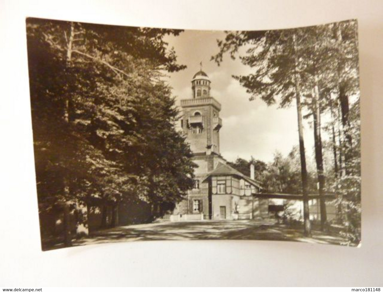 Dübener Heide - Eisenmoorbad Bad Schmiedeberg (Kr. Wittenberg) - Aussichtsturm Und Gaststätte "Schöne Aussicht" - Bad Schmiedeberg