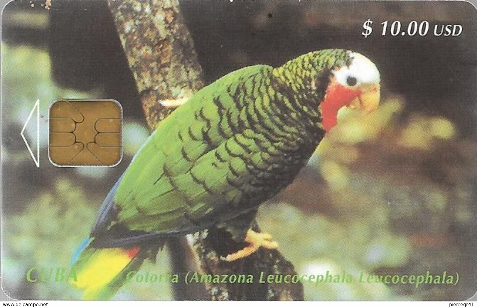 CARTE-PUCE-CUBA-10USD-PERROQUET-COLORRA-TBE-RARE - Loros