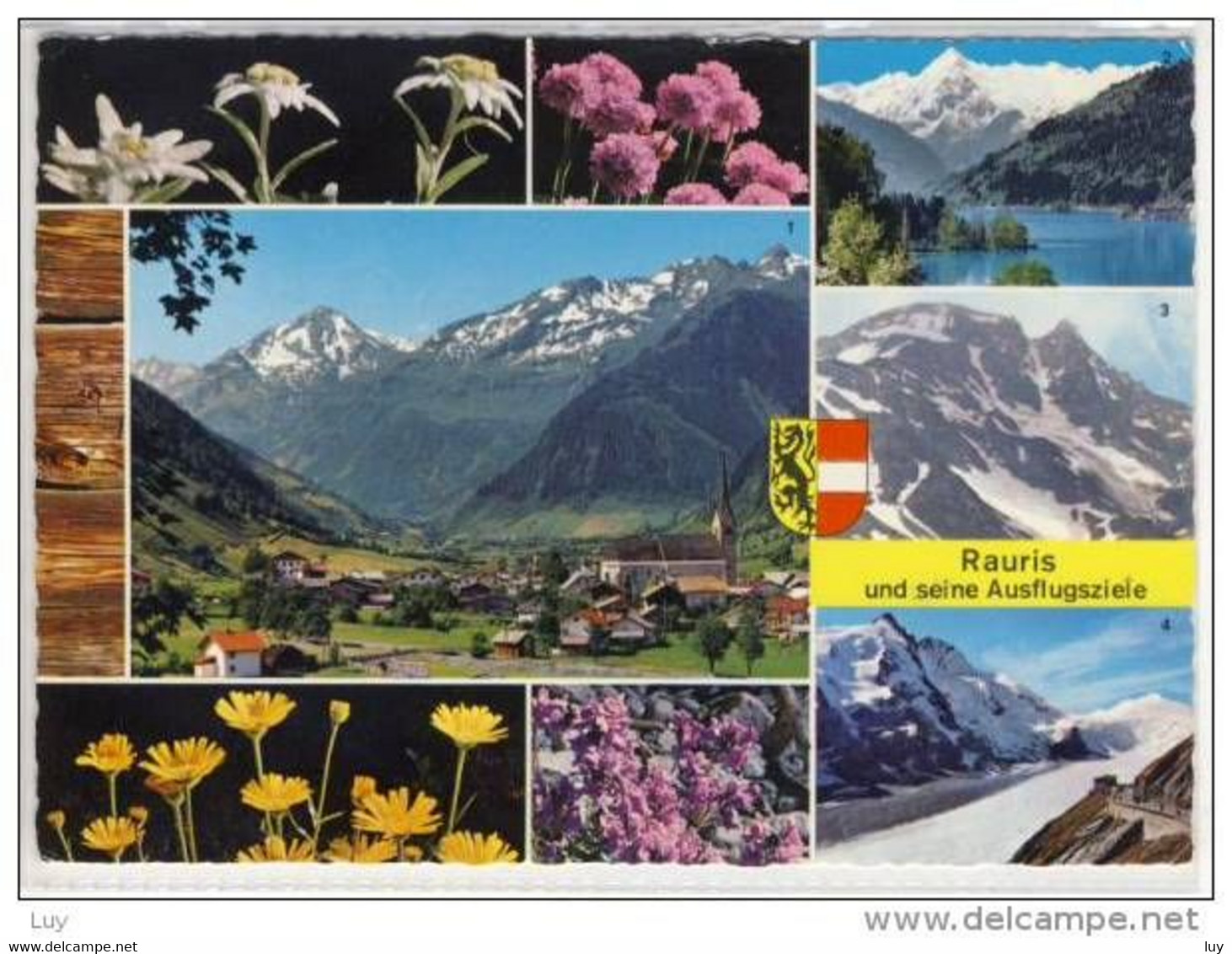 RAURIS ; Pinzgau Und Seine Ausflugsziele, Alpenblumen    1970 - Rauris