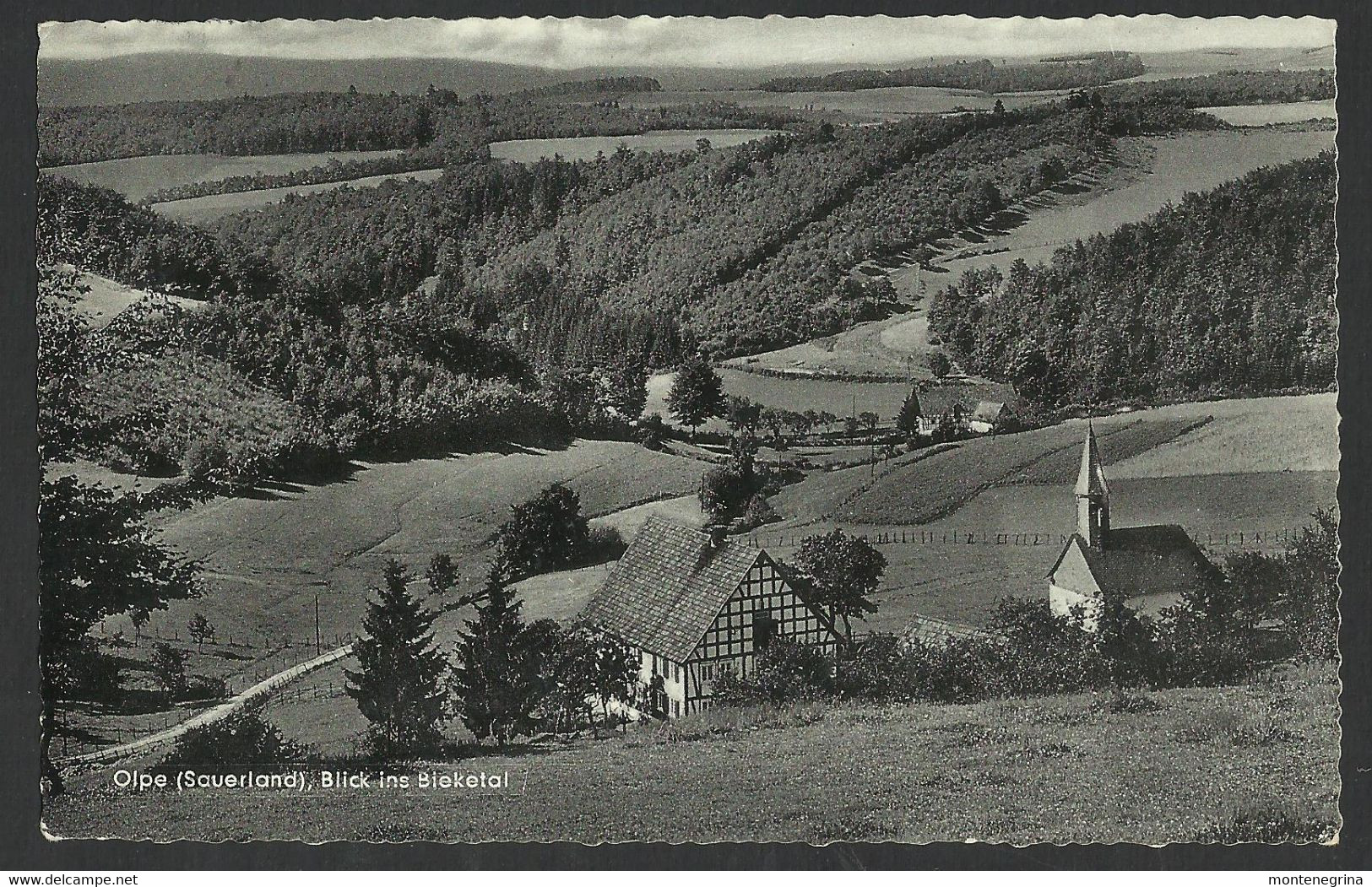 OLPE (Sauerland) Blick Ins Bieketal - Postcard (see Sales Conditions) 05757 - Olpe