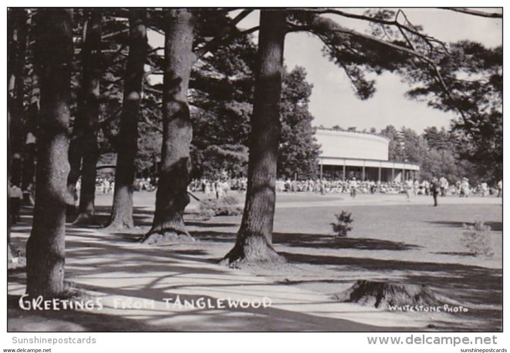 New York City Greetings From Tanglewood 1951 - Parchi & Giardini