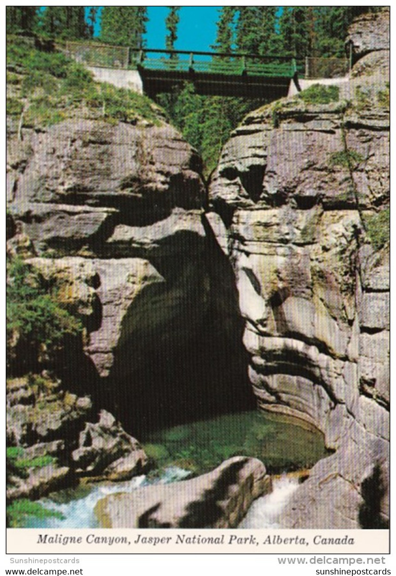 Canada Maligne Canyon Jasper National Park - Jasper