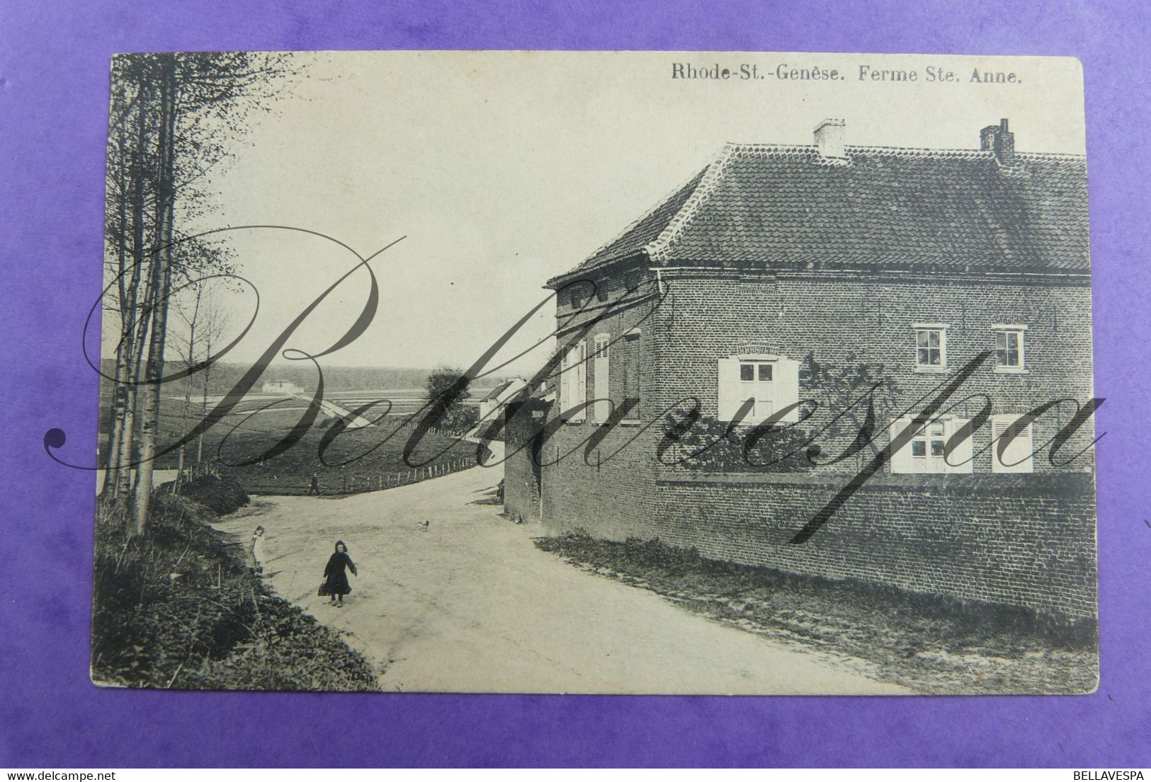 Sint Genesius Rode Boerderij Hoeve Ferme St. Anne-1929 - St-Genesius-Rode