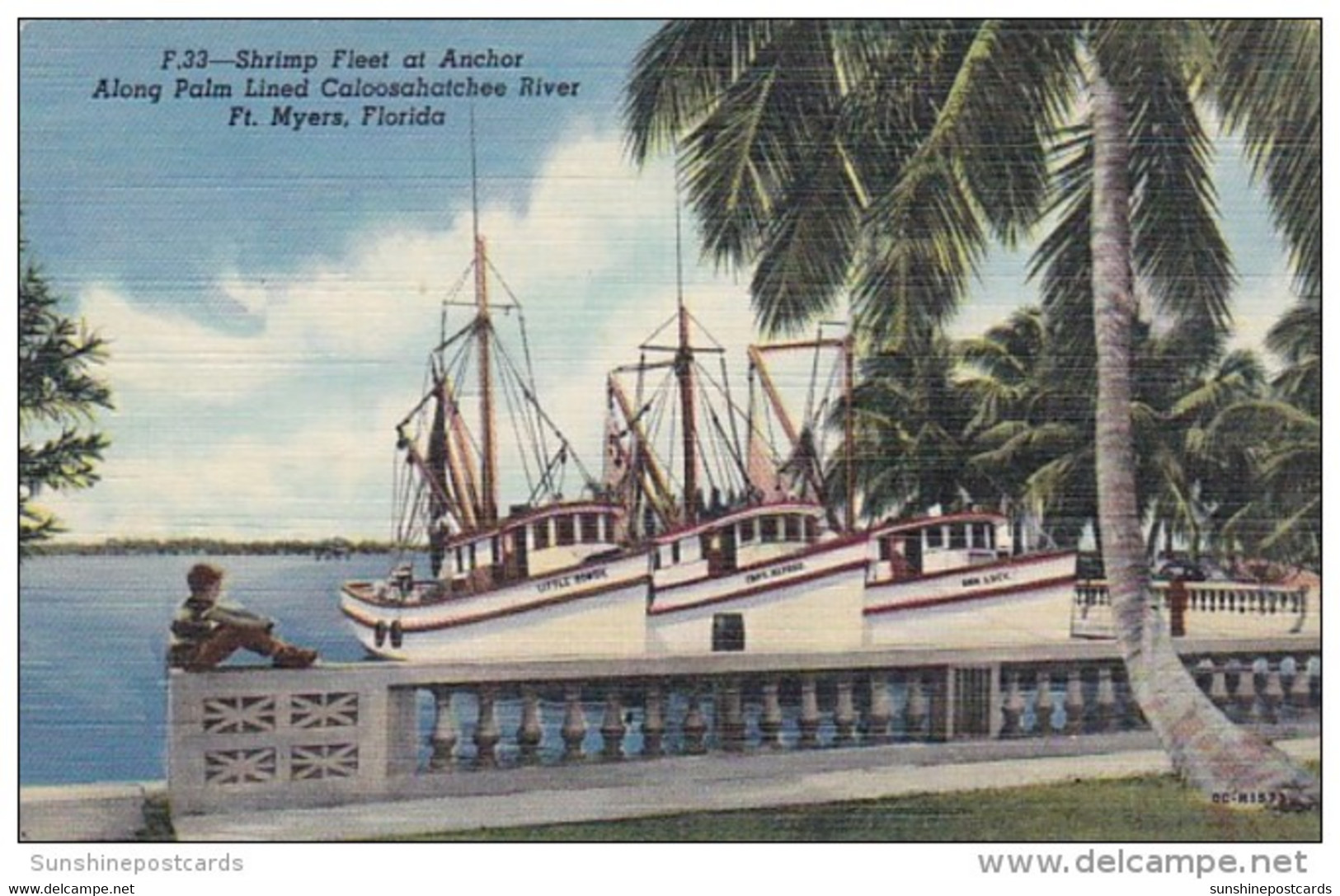 Florida Fort Myers Shrimp Fleet At Anchor Along Caloosahatchee River Curteich - Fort Myers