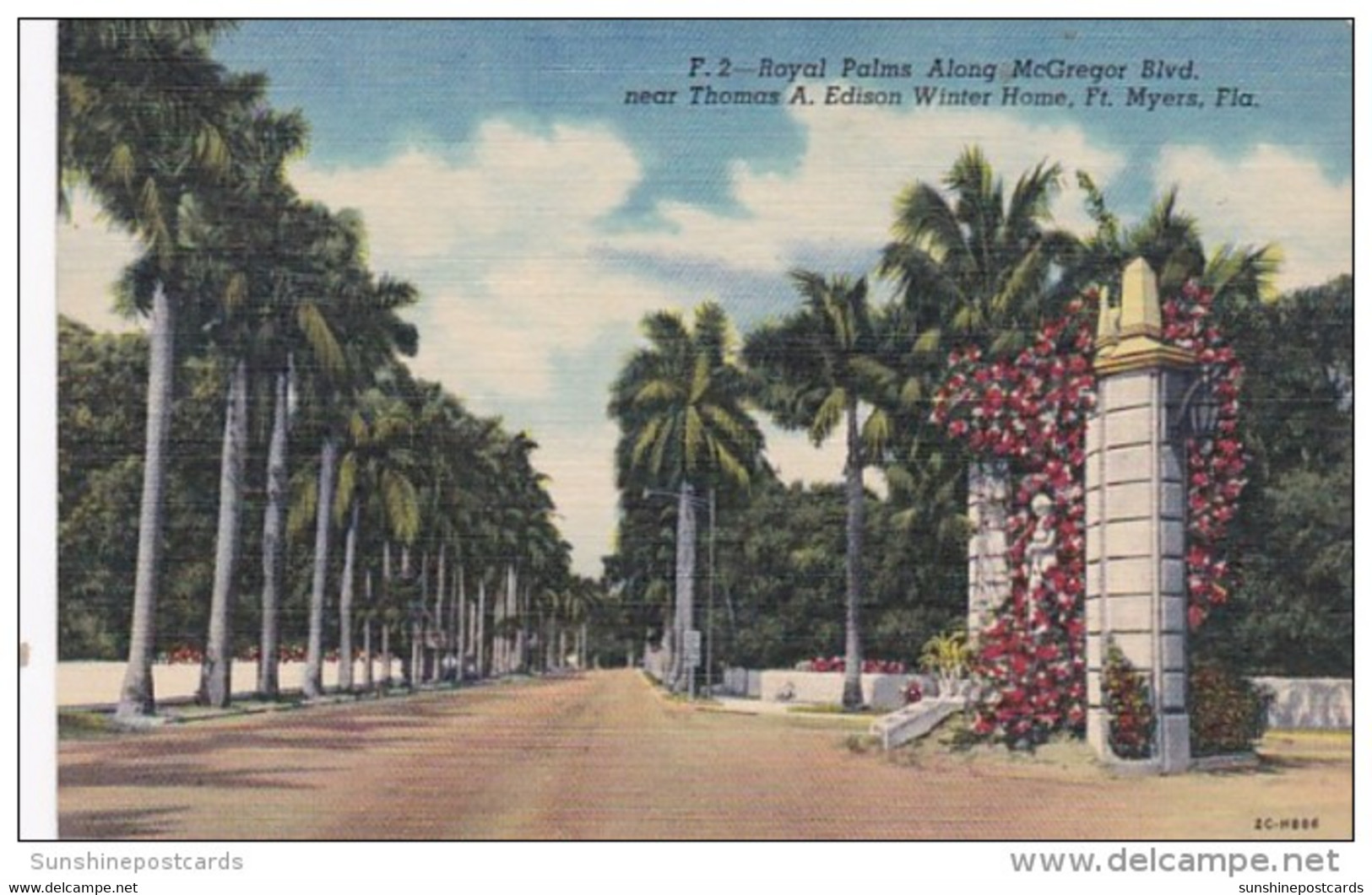 Florida Fort Myers Royal Palms Along MacGregor Boulevard Near Thomas A Edison Winter Home Curteich - Fort Myers