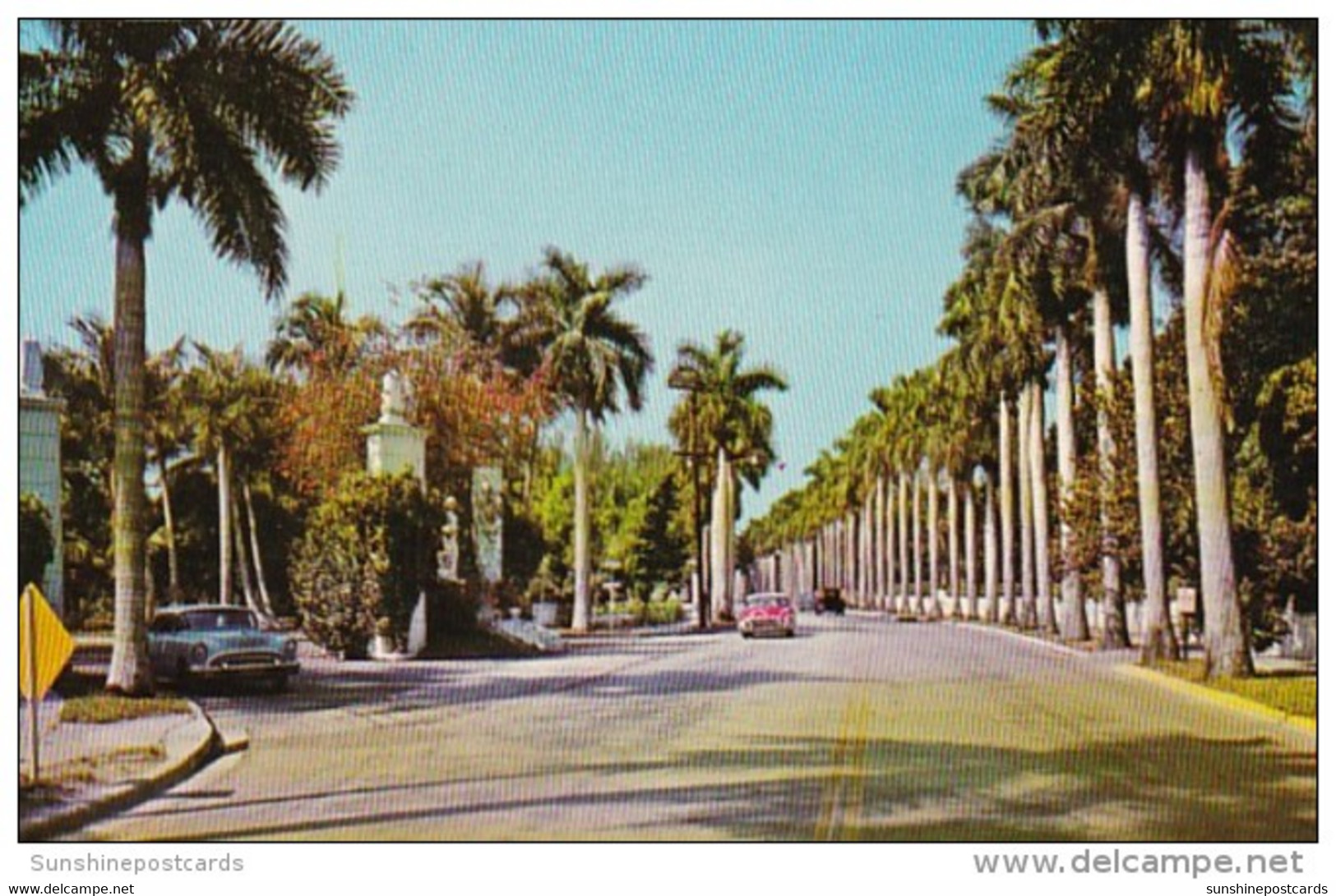 Florida Fort Myers Royal Palms Along McGregor Boulevard - Fort Myers