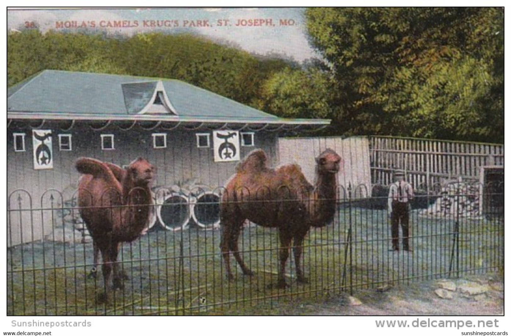 Missouri St Joseph Moila's Camels Krug's Park - St Joseph