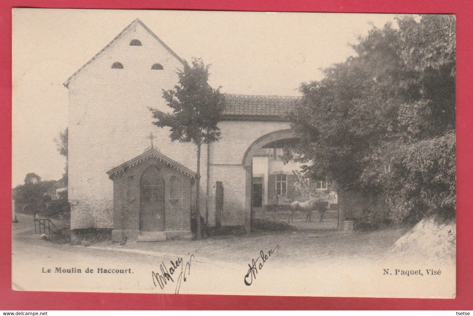 Haccourt - Le Moulin - 1904 ( Voir Verso ) - Oupeye