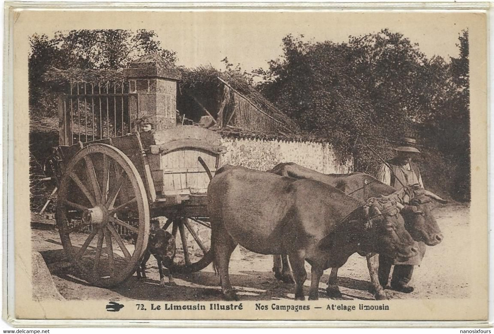 D 87. LIMOUSIN.  ORADOUR SUR VAYRES. NOS CAMPAGNES . ATTELAGE.  CARTE ECRITE - Oradour Sur Vayres