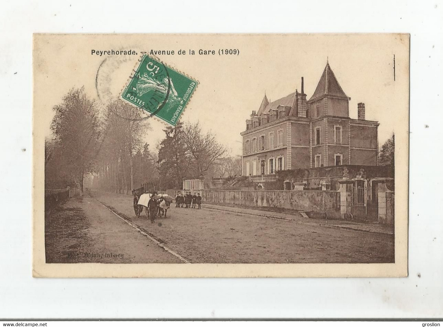 PEYREHORADE (LANDES) AVENUE DE LA GARE (1909) ATTELAGE DE BOEUFS ET ENFANTS - Peyrehorade