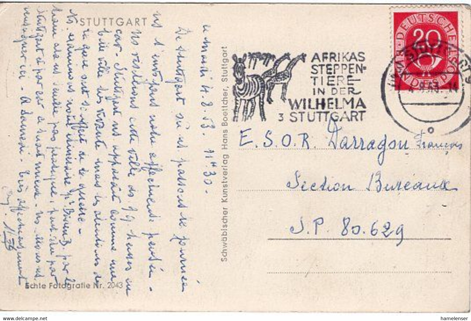 51708 - Bund - 1953 - 20Pfg Posthorn EF A AnsKte STUTTGART - AFRIKAS STEPPENTIERE -> S.P. 80.629 (Frankreich) - Girafes