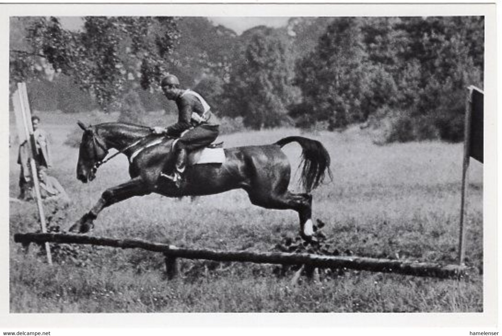 51760 - Deutsches Reich - 1936 - Sommerolympiade Berlin - Schweden, "Altgold" Unter Oberleutnant Von Stjernswaerd - Reitsport