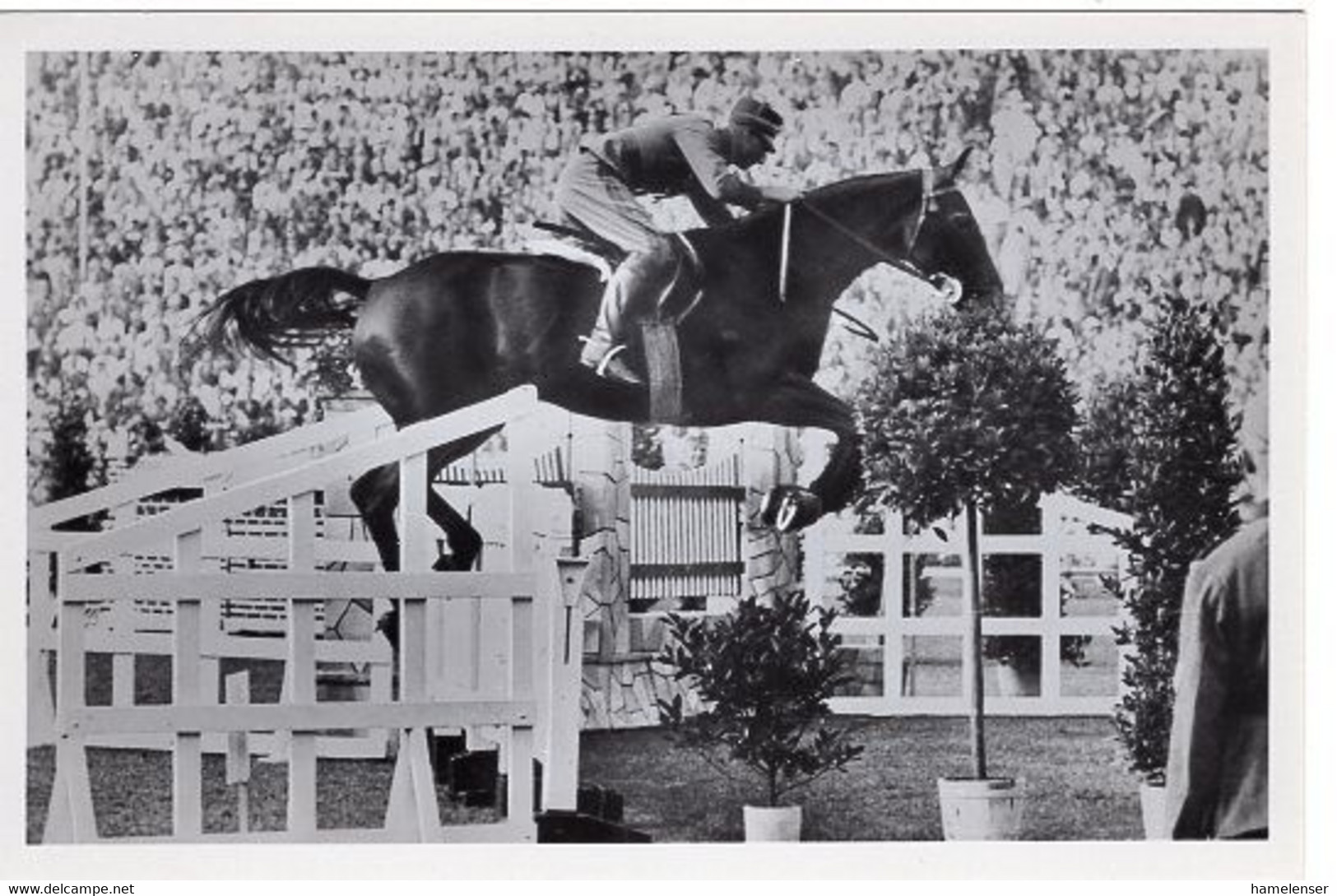 51769 - Deutsches Reich - 1936 - Sommerolympiade Berlin - Norwegen, "Felicia" Unter Oberleutnant Skougaard - Horse Show