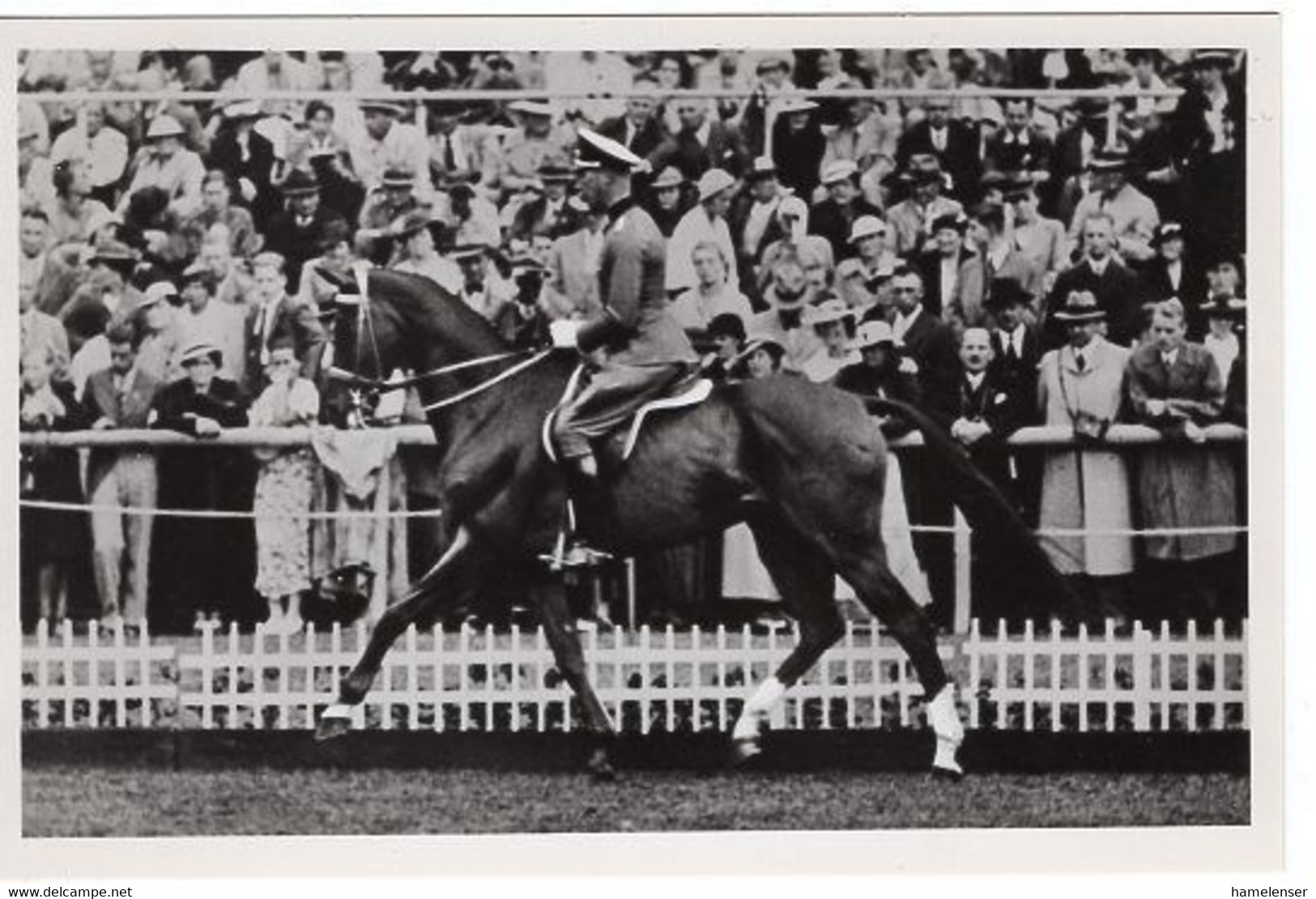 51781 - Deutsches Reich - 1936 - Sommerolympiade Berlin - Deutschland, "Fasan" Unter Rittmeister Lippert - Reitsport