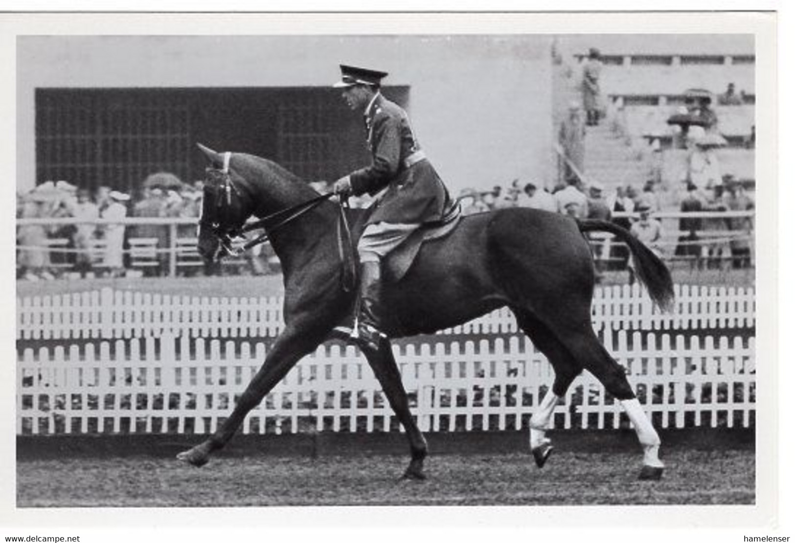 51785 - Deutsches Reich - 1936 - Sommerolympiade Berlin - USA, "Slippery-Slim" Unter Capt. Willems - Reitsport