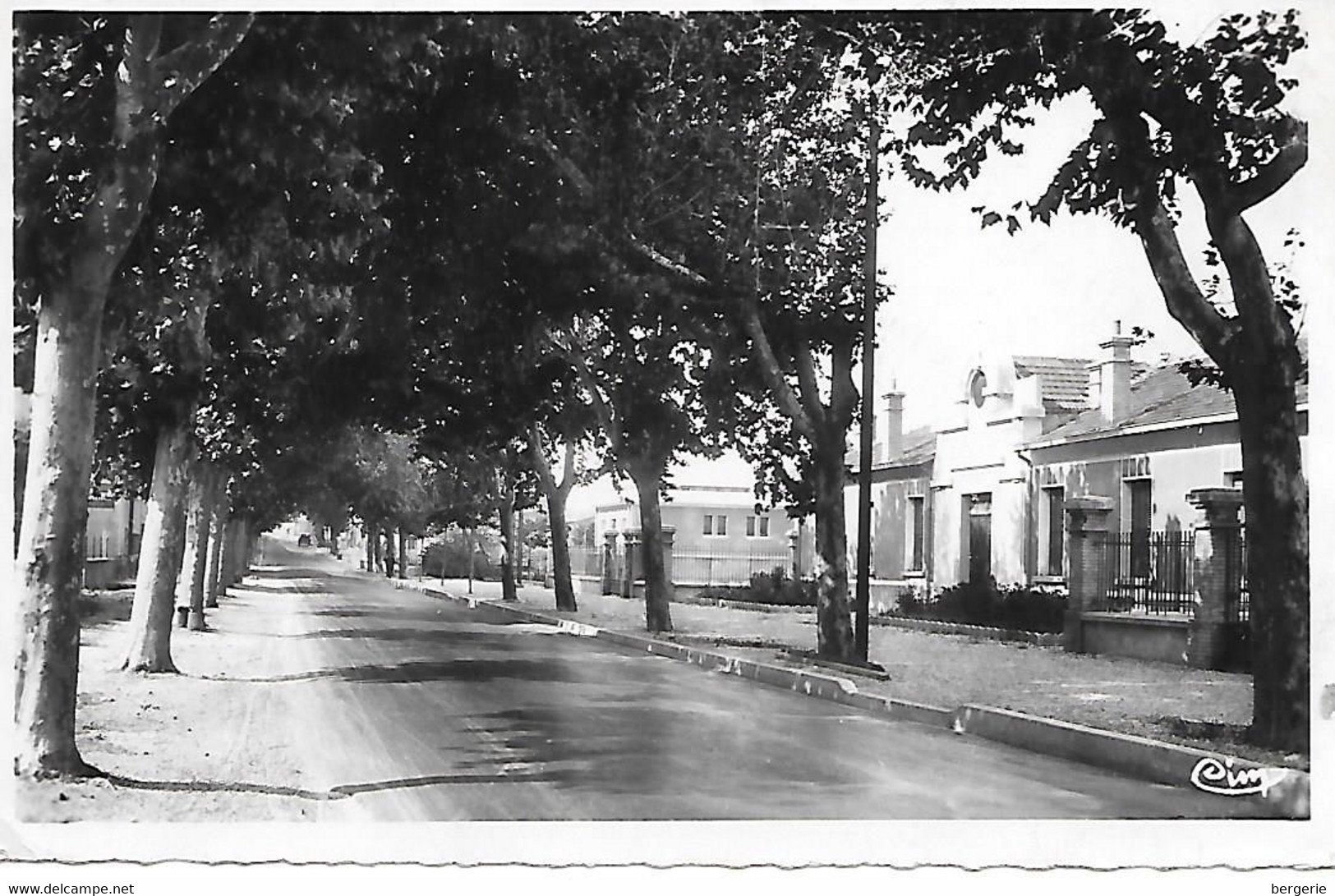 C/217      26       Cpsm        Livron          Route Nationale - Les écoles - Bains-douches - Sonstige & Ohne Zuordnung