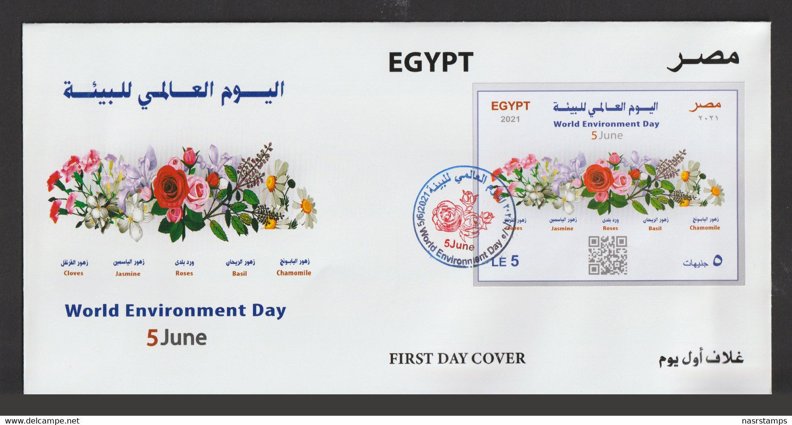 Egypt - 2021 - RARE - FDC - ( Maximum Card - World Environment Day ) - Cartas & Documentos