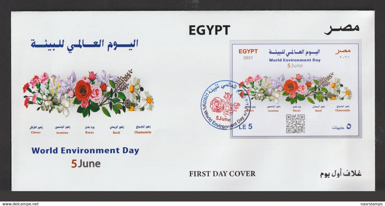 Egypt - 2021 - RARE - FDC - ( Maximum Card - World Environment Day ) - Lettres & Documents