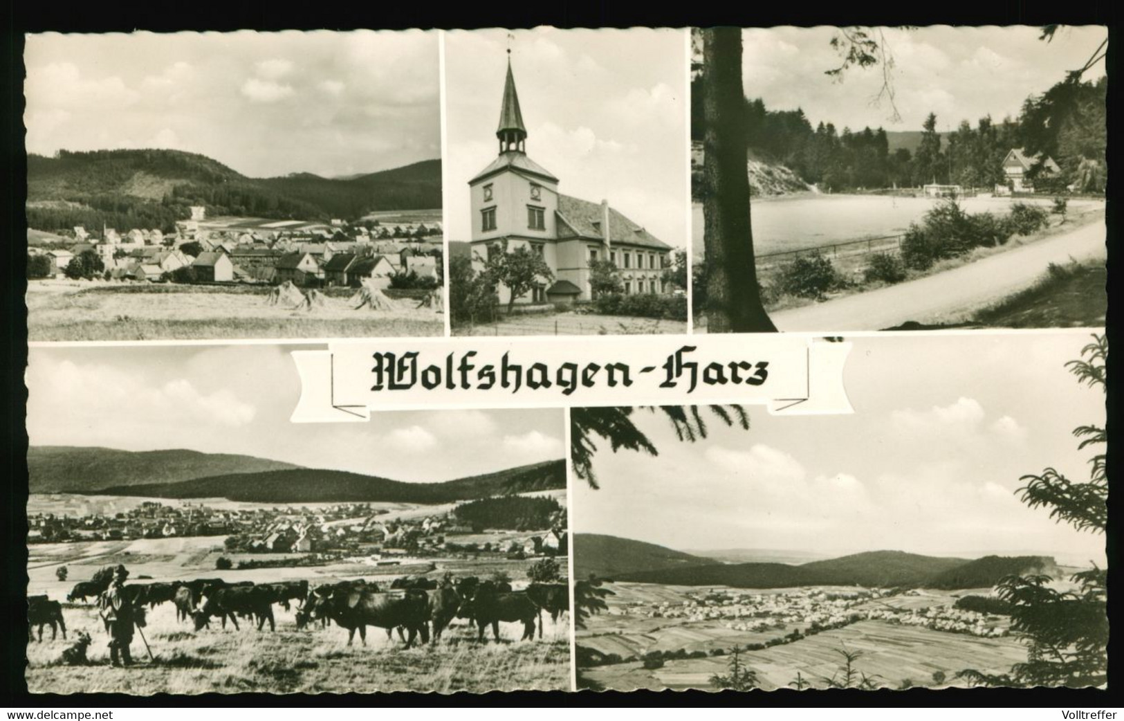 Orig. Foto AK Kleinformat 60er Jahre, Wolfshagen Im Harz, Mehrbild AK - Langelsheim