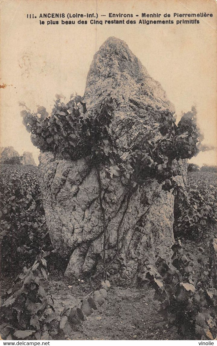 P-PLT-22-1820 : ANCENIS. LE MENHIR DE PIERREMELIERE - Dolmen & Menhirs