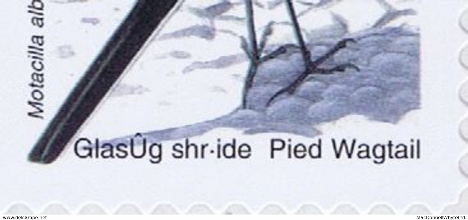 Ireland 2003 Birds Definitives SNP Self-adhesive Coils N Peregrine Falcon + N Error "shr-ide" Wagtail "Only 10 Stamps Le - Nuevos