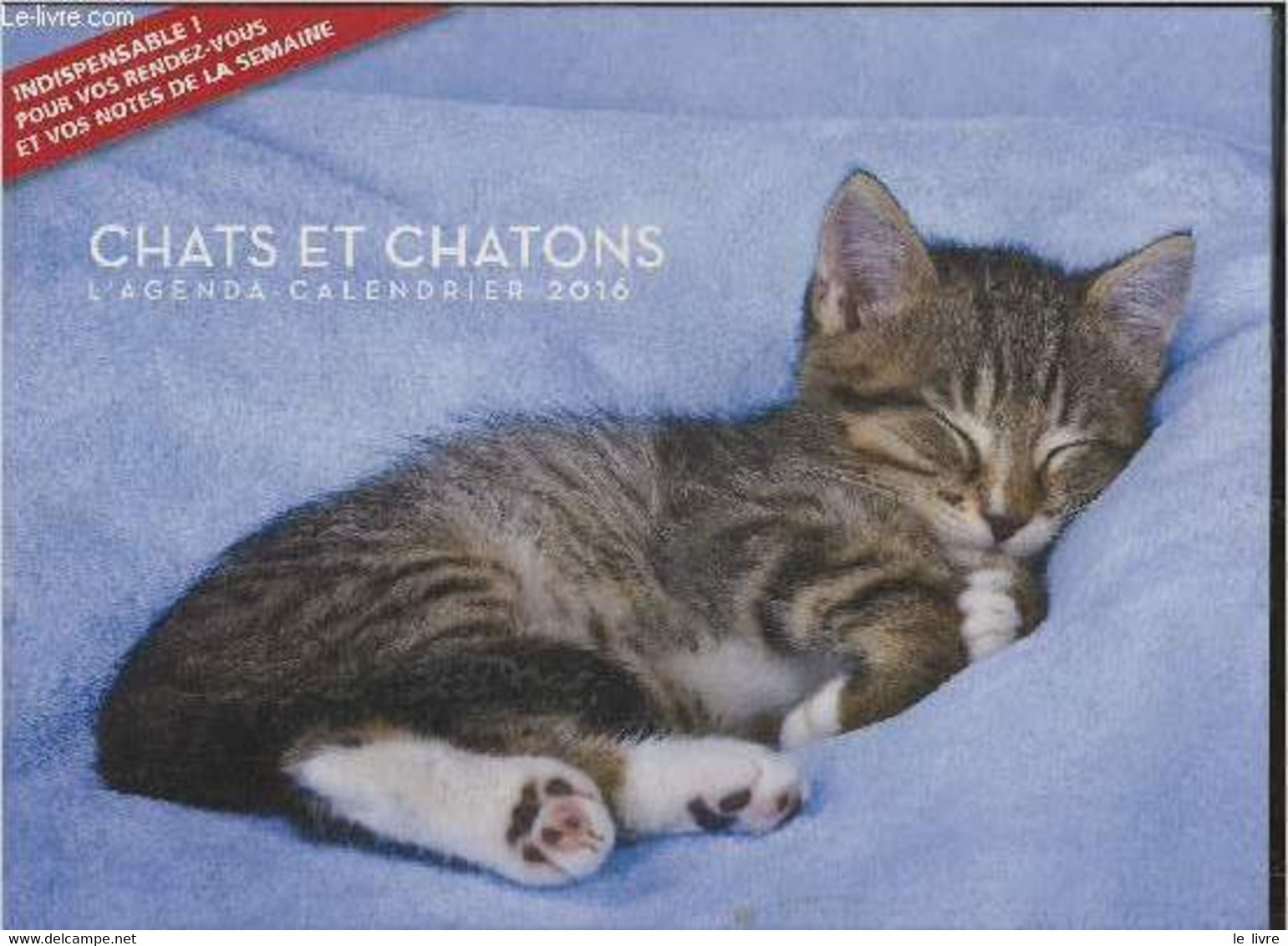 Chats Et Chatons, L'agenda Calendrier 2016 - Collectif - 2016 - Agenda & Kalender
