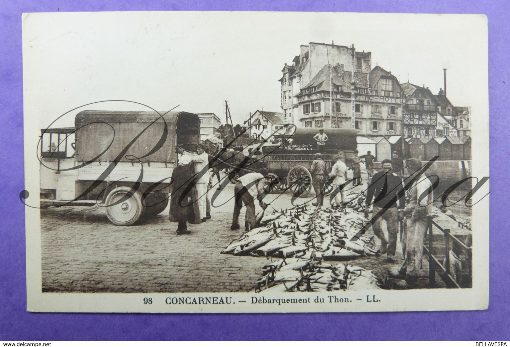 Concarneau Débarquement Du Thon. 1938 - Concarneau