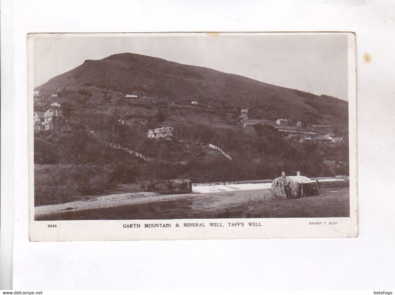 CPA  PHOTO  GARTH MOUNTAIN , MINERAL WELL(voir Timbre) - Cardiganshire