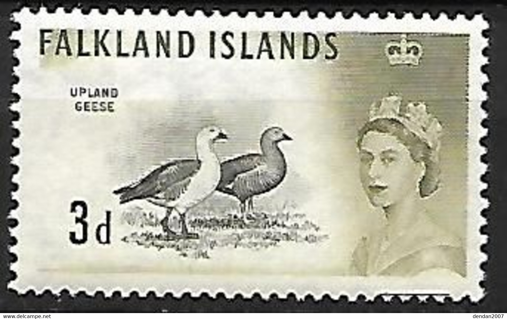 Falkland - MNH ** 1960 :  Upland Goose  -  Chloephaga Picta - Oies