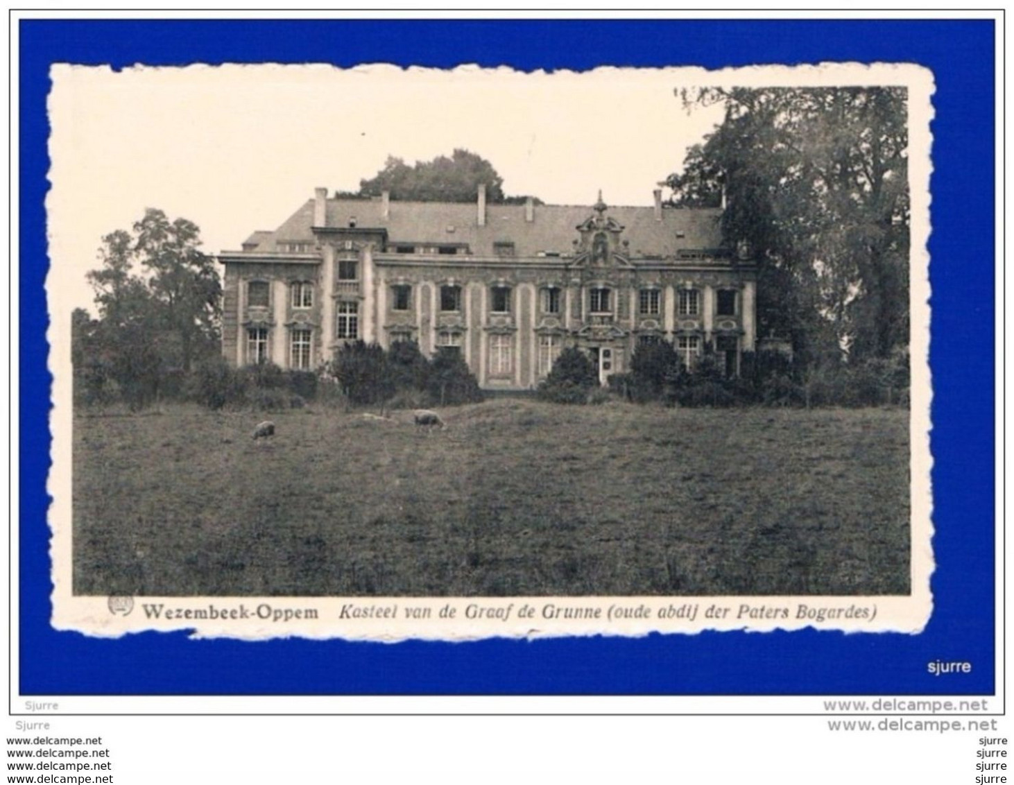 Wezembeek-Oppem - Kasteel Van De Graaf De Grunne - Château (oude Abdij Der Paters Bogardes) - Wezembeek-Oppem