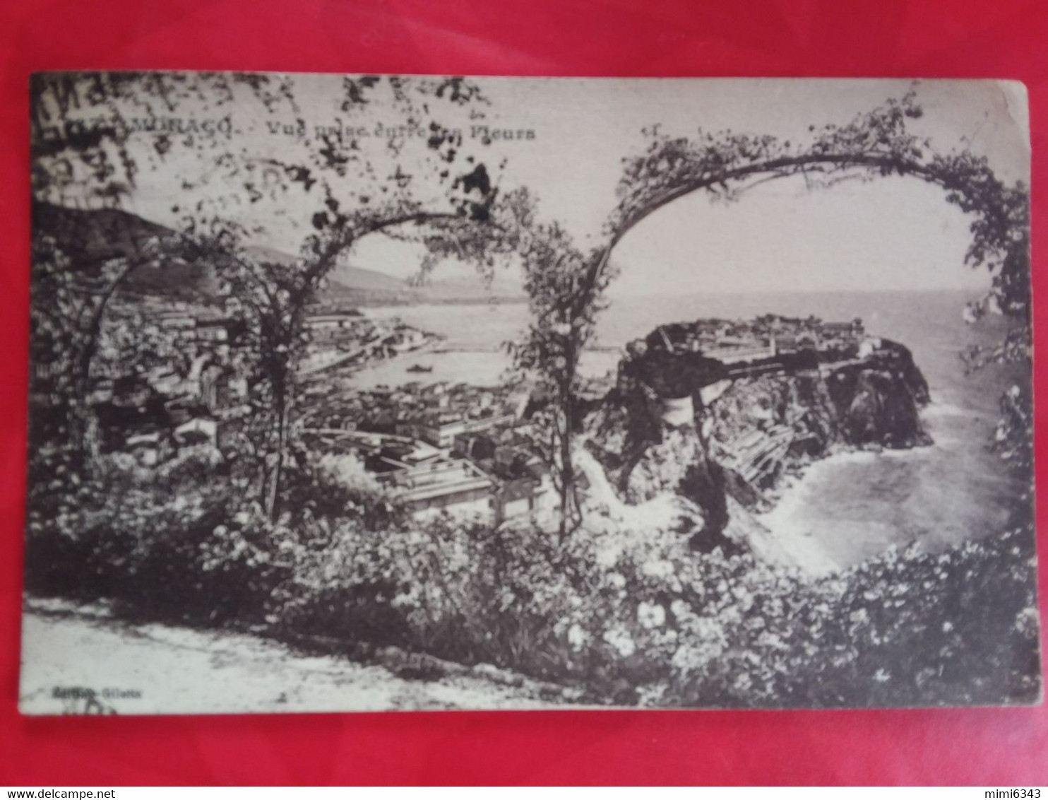 CPA MONACO  MONTE-CARLO VUE PRISE ENTRE LES FLEURS  ×  VOYAGEE 1924  ×× PARFAITE - Le Terrazze