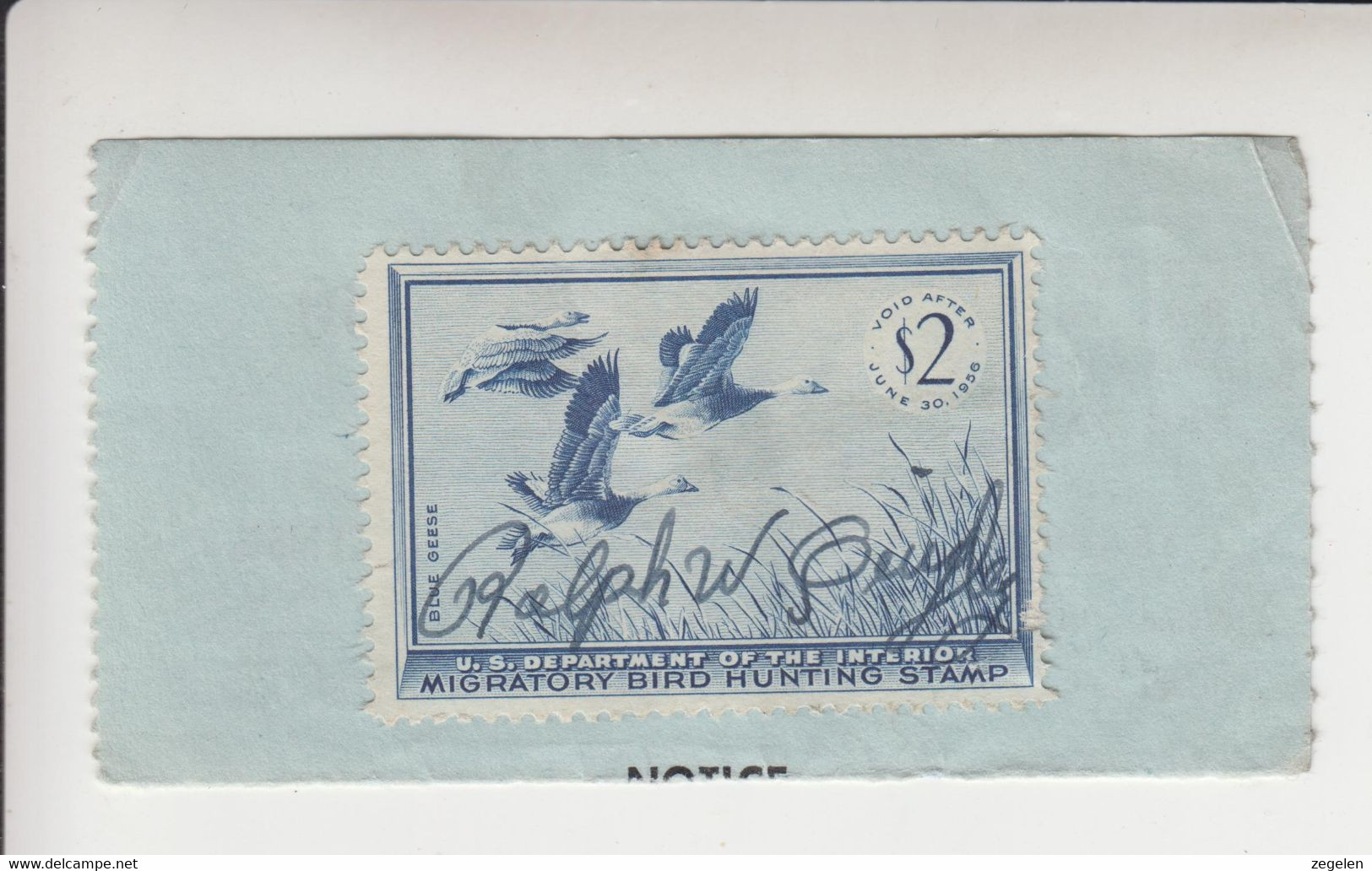 Verenigde Staten Scott Cataloog Duck Stamp RW22 - Duck Stamps